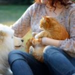 Summer Pet Care Answers from our Vet Darren Partridge