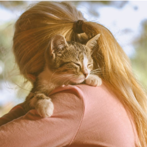Molesey Vets on Teaching Cat Handling to Children